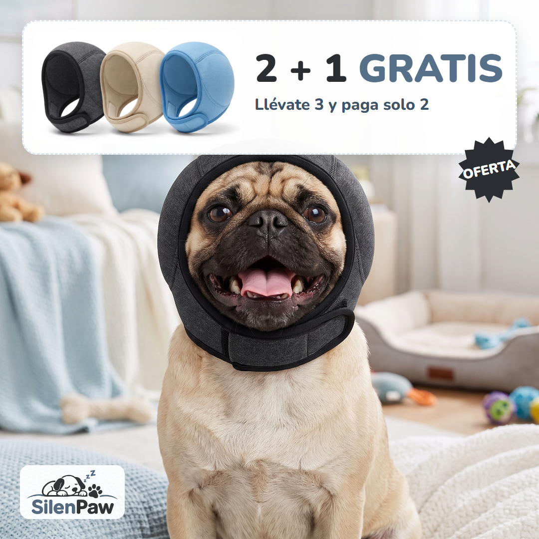 Orejeras que calman a tu perro del ruido