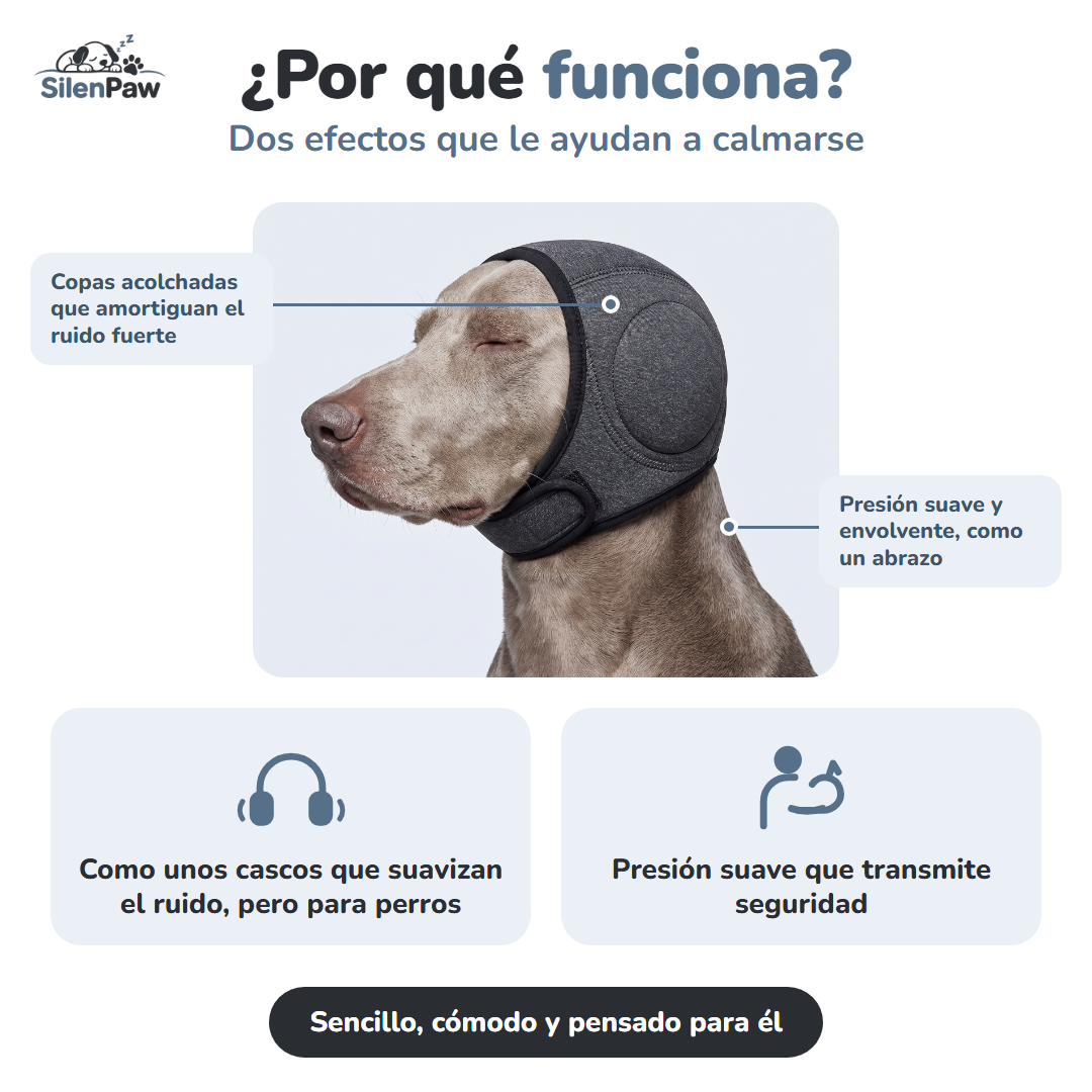 Orejeras que calman a tu perro del ruido